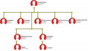 Organigramme SERI Bordeaux